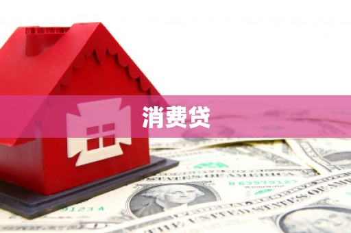 达孜消费贷
