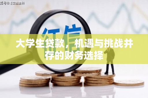 沈北新区大学生贷款，机遇与挑战并存的财务选择
