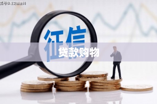 东宝贷款购物