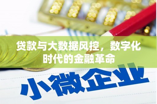 大园贷款与大数据风控，数字化时代的金融革命