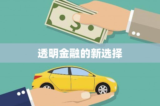 龙游透明金融的新选择