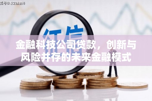巨野金融科技公司贷款，创新与风险并存的未来金融模式
