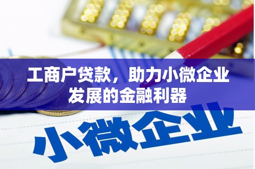 太保工商户贷款，助力小微企业发展的金融利器