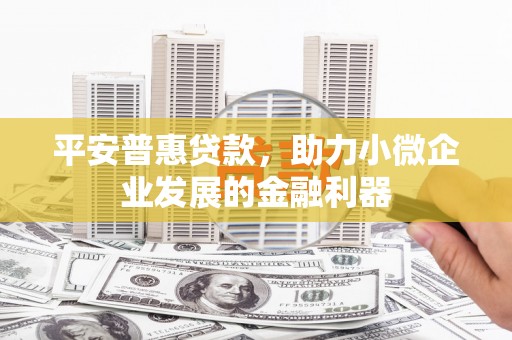 树林平安普惠贷款，助力小微企业发展的金融利器