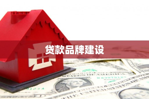 无极贷款品牌建设