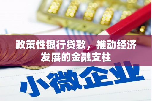 临海政策性银行贷款，推动经济发展的金融支柱