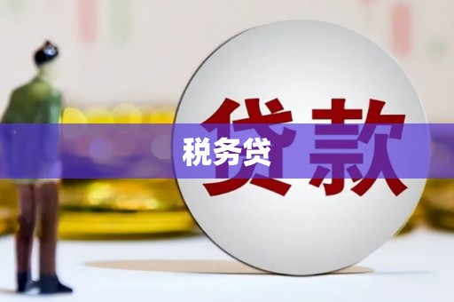 双牌税务贷