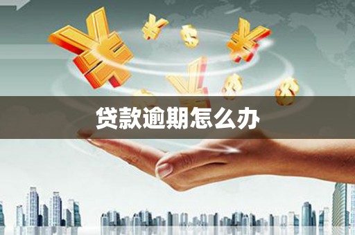 江东贷款逾期怎么办