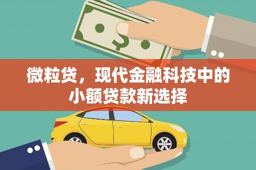 雅江微粒贷，现代金融科技中的小额贷款新选择