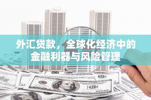 房县外汇贷款，全球化经济中的金融利器与风险管理