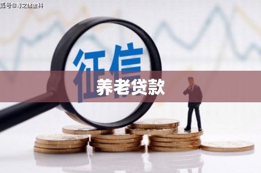 岳西养老贷款