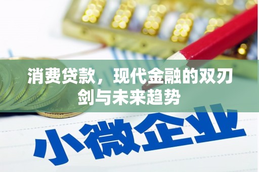 盐津消费贷款，现代金融的双刃剑与未来趋势