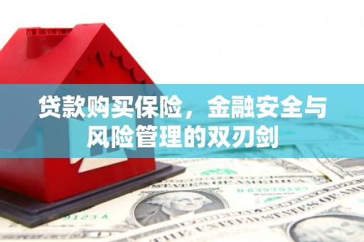 晋州贷款购买保险，金融安全与风险管理的双刃剑