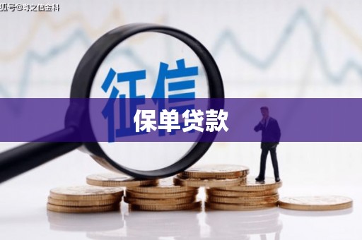 丰宁保单贷款
