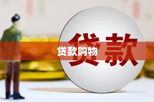 集贤贷款购物