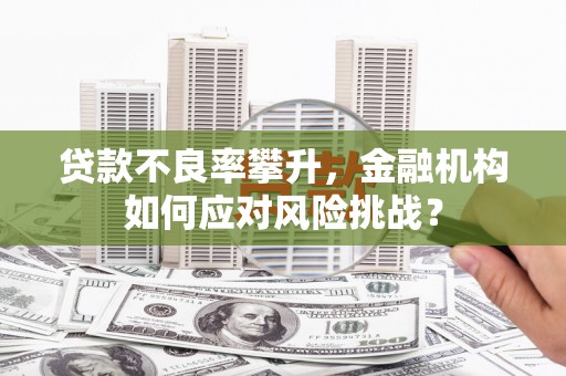 临夏贷款不良率攀升，金融机构如何应对风险挑战？