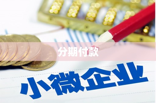 盘龙分期付款