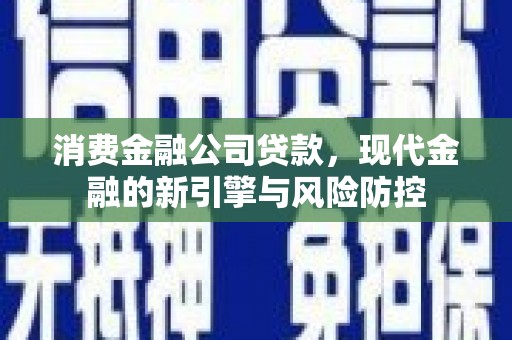 冕宁消费金融公司贷款，现代金融的新引擎与风险防控