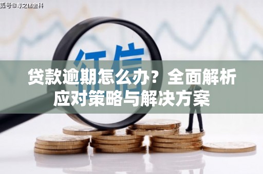 文安贷款逾期怎么办？全面解析应对策略与解决方案
