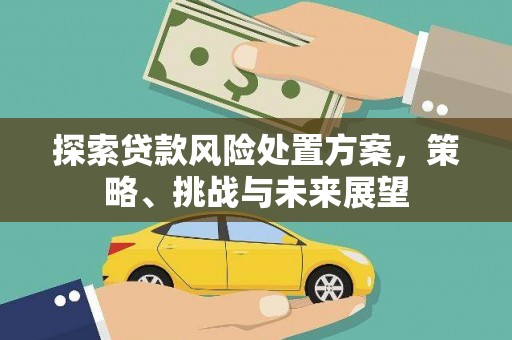 昔阳探索贷款风险处置方案，策略、挑战与未来展望