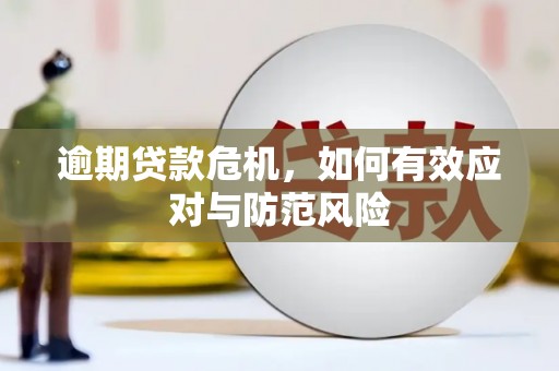 花莲逾期贷款危机，如何有效应对与防范风险