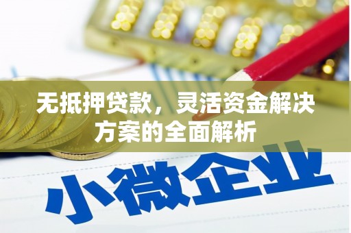 颍泉无抵押贷款，灵活资金解决方案的全面解析