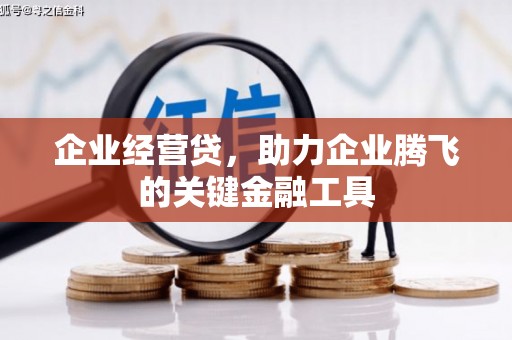 额济纳旗企业经营贷，助力企业腾飞的关键金融工具