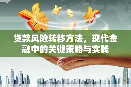 来宾贷款风险转移方法，现代金融中的关键策略与实践