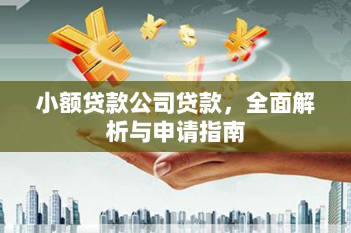 大寮小额贷款公司贷款，全面解析与申请指南