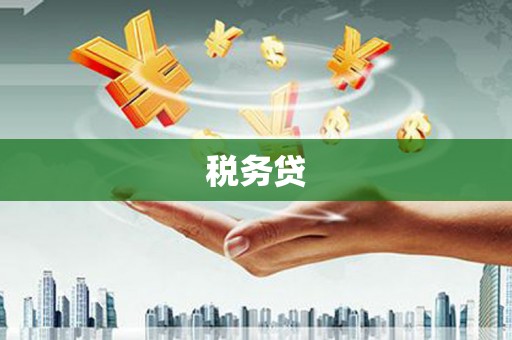 顺城税务贷
