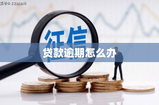 兴和贷款逾期怎么办