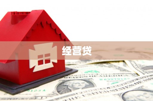 大林经营贷