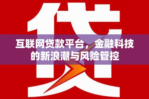 乐都互联网贷款平台，金融科技的新浪潮与风险管控