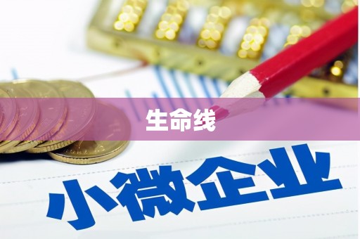 巧家生命线