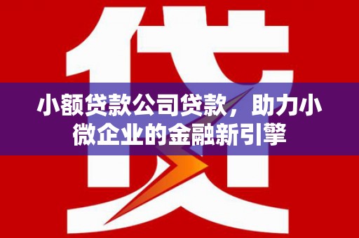 乳源小额贷款公司贷款，助力小微企业的金融新引擎