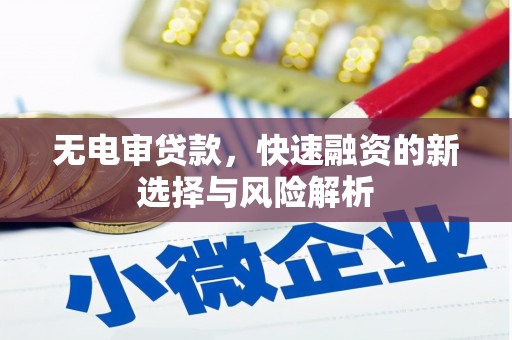 金阳无电审贷款，快速融资的新选择与风险解析