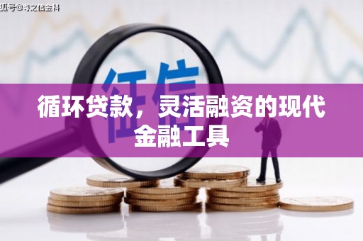 木兰循环贷款，灵活融资的现代金融工具