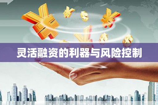 丰县灵活融资的利器与风险控制
