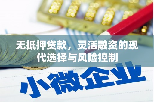 丰城无抵押贷款，灵活融资的现代选择与风险控制