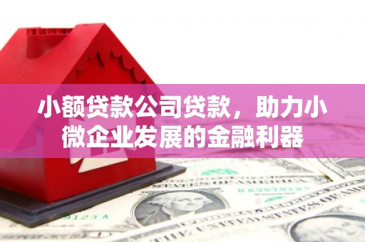 舞阳小额贷款公司贷款，助力小微企业发展的金融利器