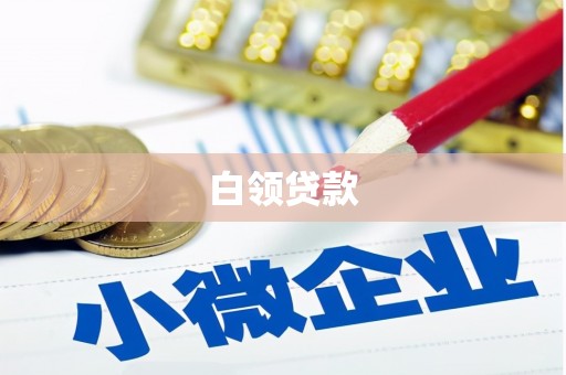 德宏白领贷款