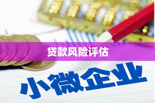 科尔沁贷款风险评估
