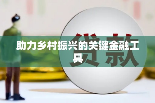 拉孜助力乡村振兴的关键金融工具