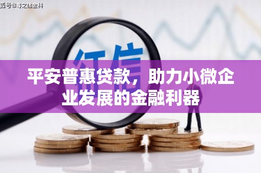 南投平安普惠贷款，助力小微企业发展的金融利器