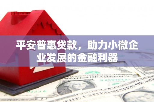 小港平安普惠贷款，助力小微企业发展的金融利器