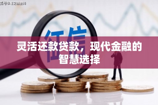 儋州灵活还款贷款，现代金融的智慧选择