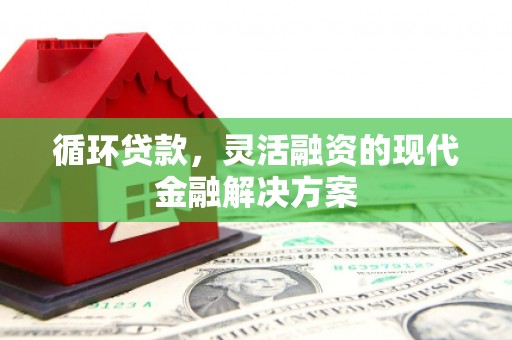 板桥循环贷款，灵活融资的现代金融解决方案