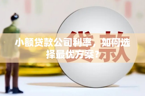 郴州小额贷款公司利率，如何选择最优方案？