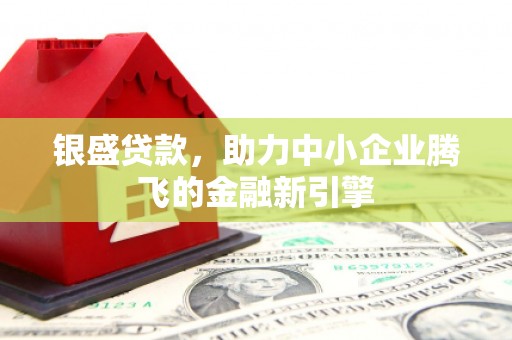 盘龙银盛贷款，助力中小企业腾飞的金融新引擎