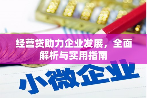 普格经营贷助力企业发展，全面解析与实用指南